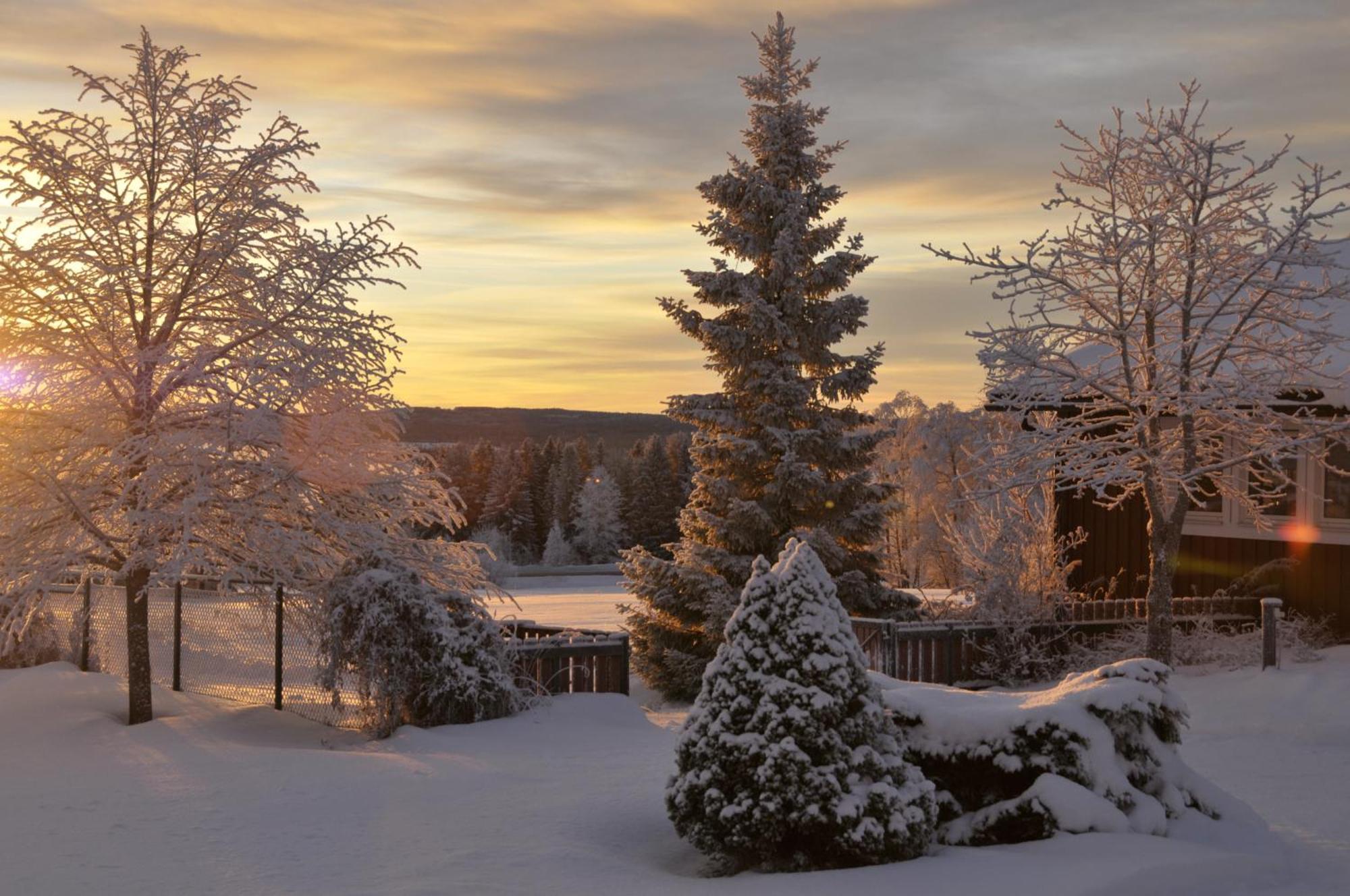 Bed and Breakfast Langaenge Logi Tandsbyn Экстерьер фото