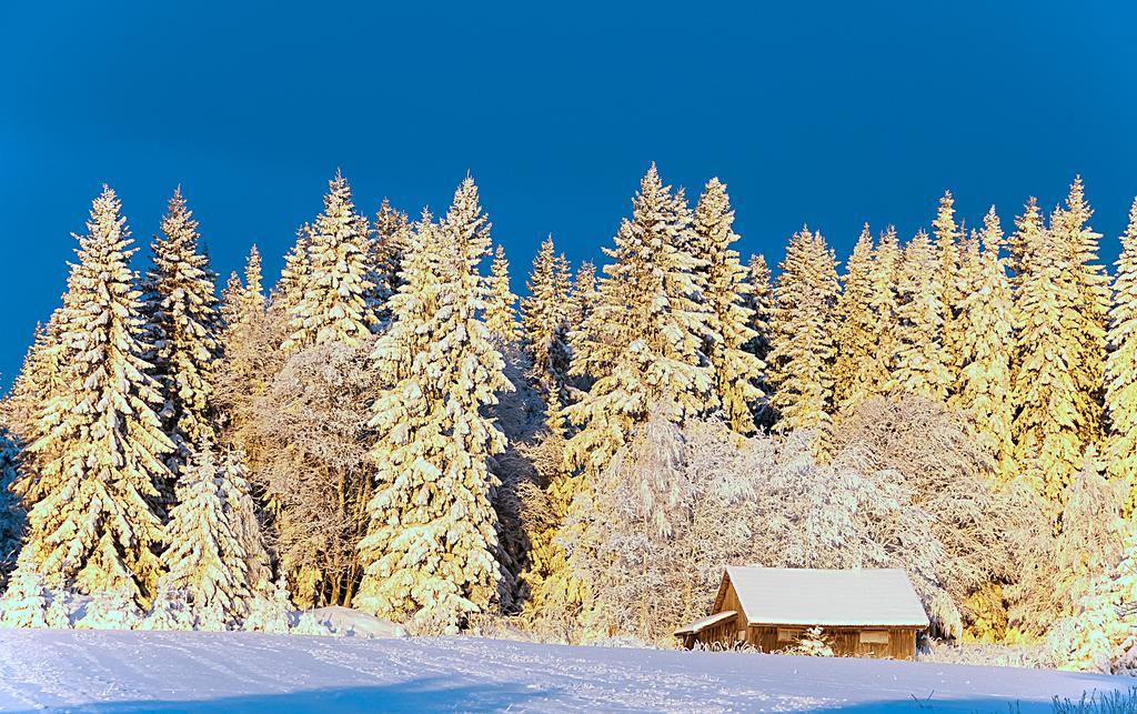 Bed and Breakfast Langaenge Logi Tandsbyn Экстерьер фото